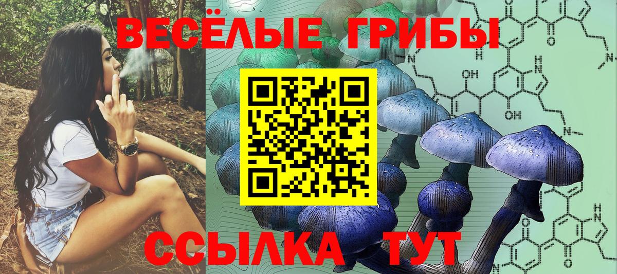 Узловая  Псилоцибиновые грибы Magic Shrooms  Псилоцибиновые грибы мухоморы  Вход с VPN 